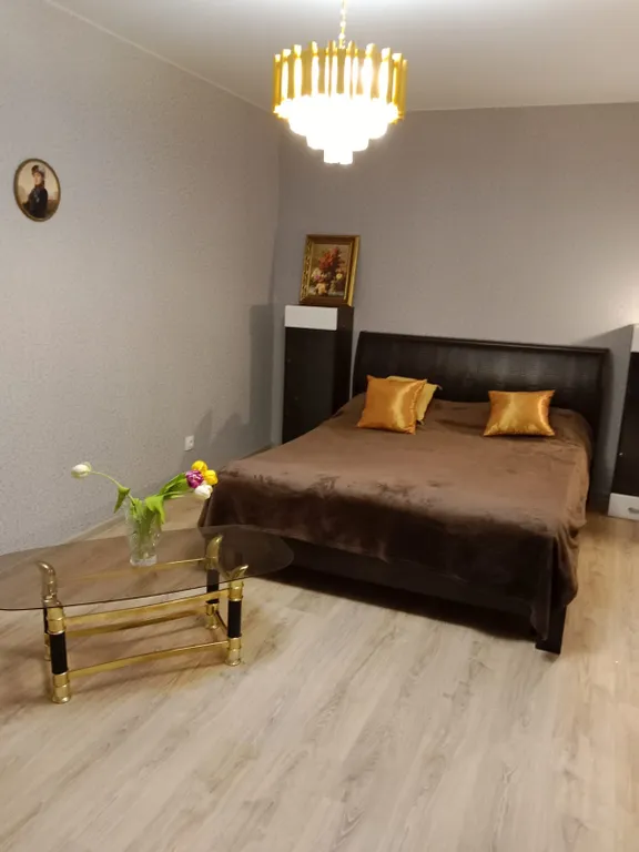 Уютная квартира Современник — аренда посуточно в Воронеж