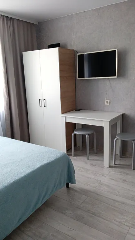 Уютная студия с видом на р. Оку