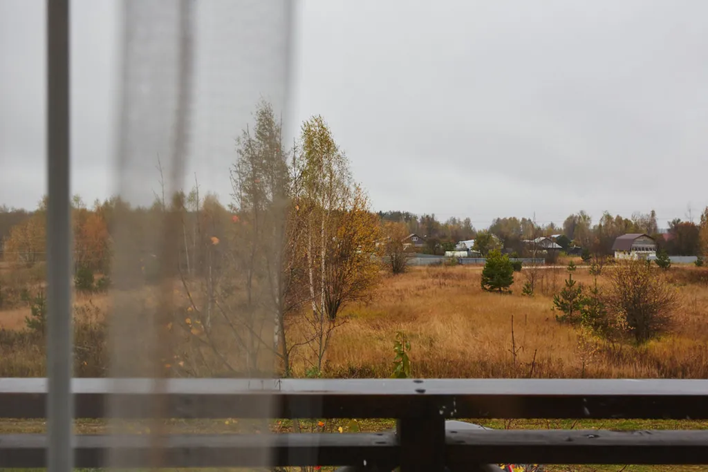 Уютный светлый дом в окружении природы