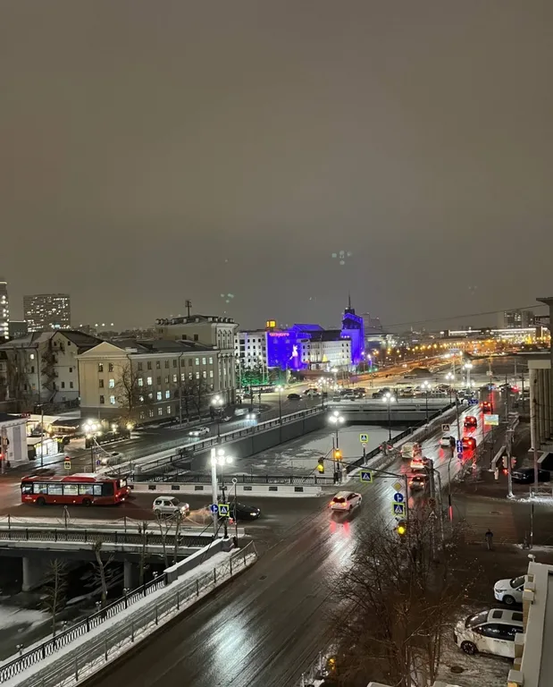 Экономка с видом на Кремль