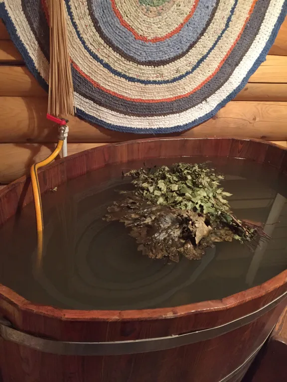 Домик в сосновом лесу