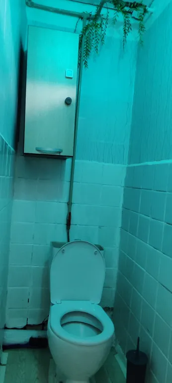 Комната в центре города