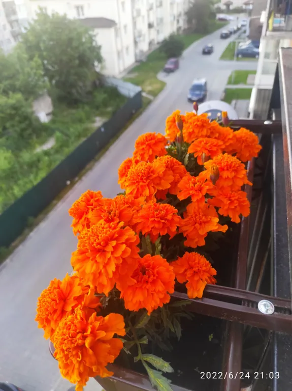 Лучший отдых на балтийском побережье