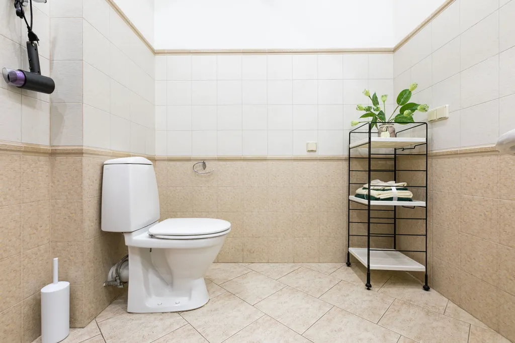 Всё рядом: мосты, музеи, парки