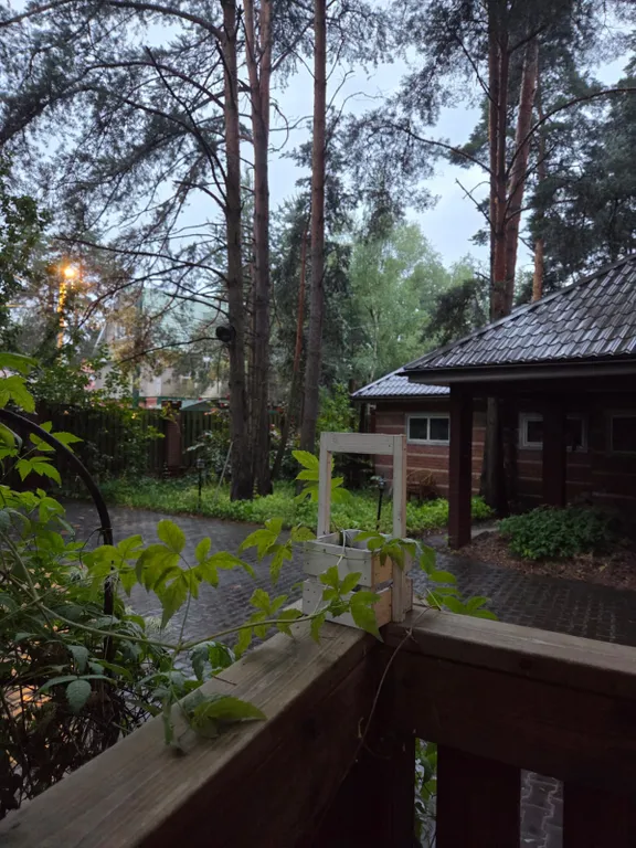 Уютный коттедж в сосновом лесу рядом с Москвой