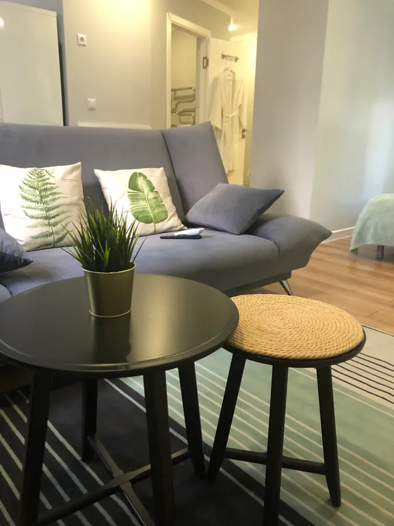 Сканди-студия