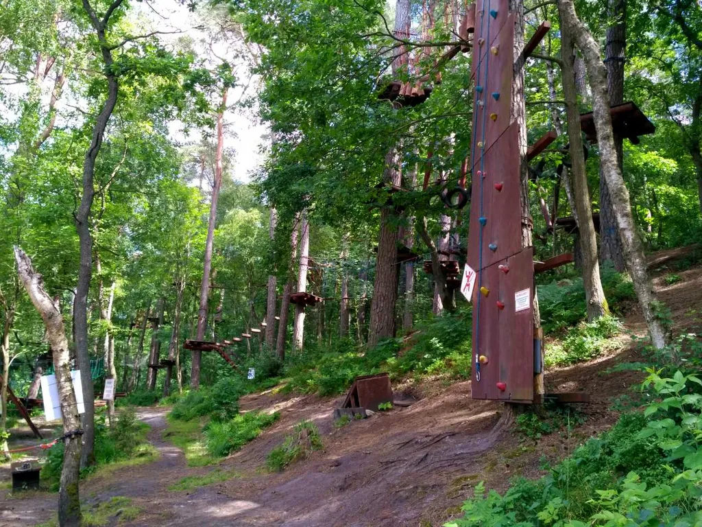 Квартира Апартаменты Комфорт — Светлогорск