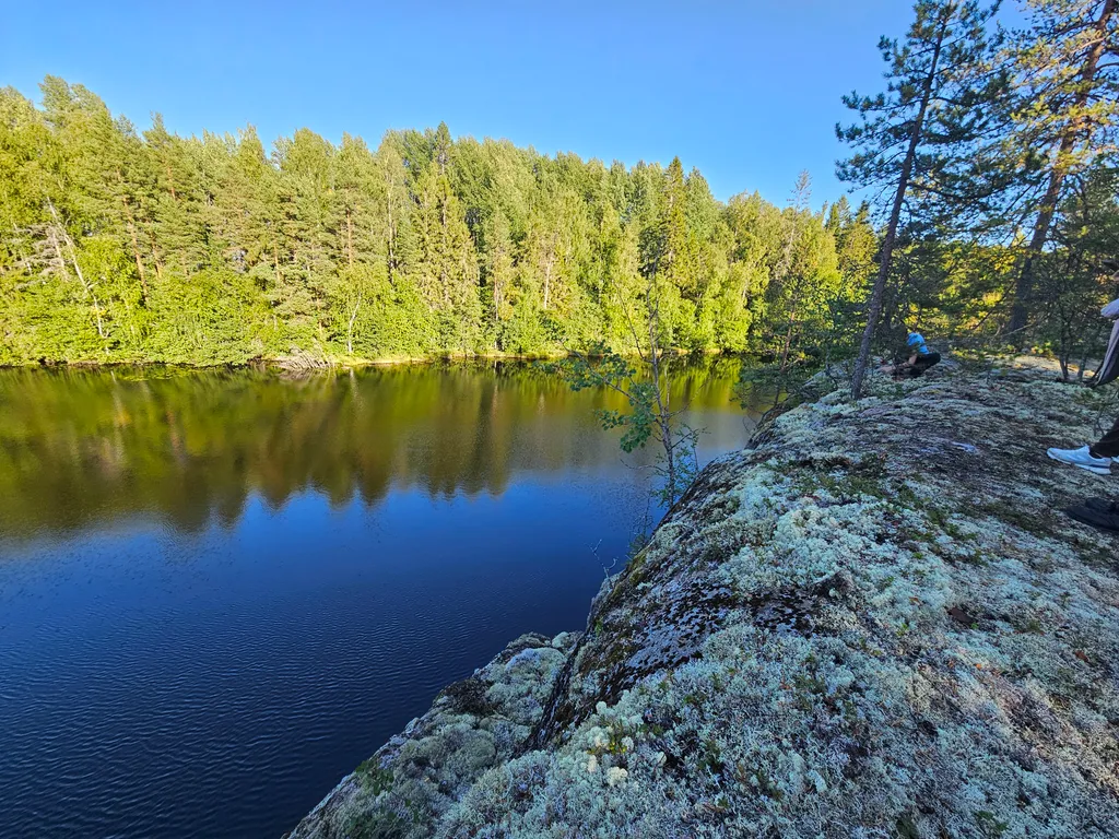 Малый дом на медовом ранчо в Карелии - отдых с пользой для здоровья