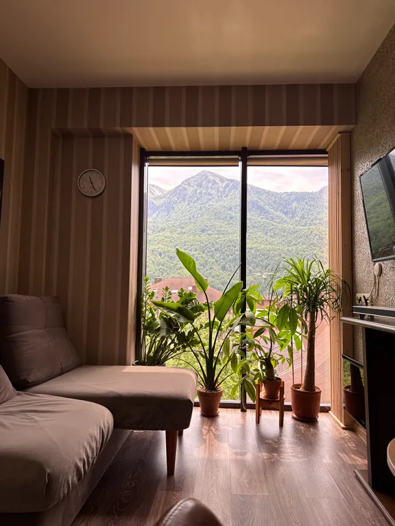 Квартира с видом на горы