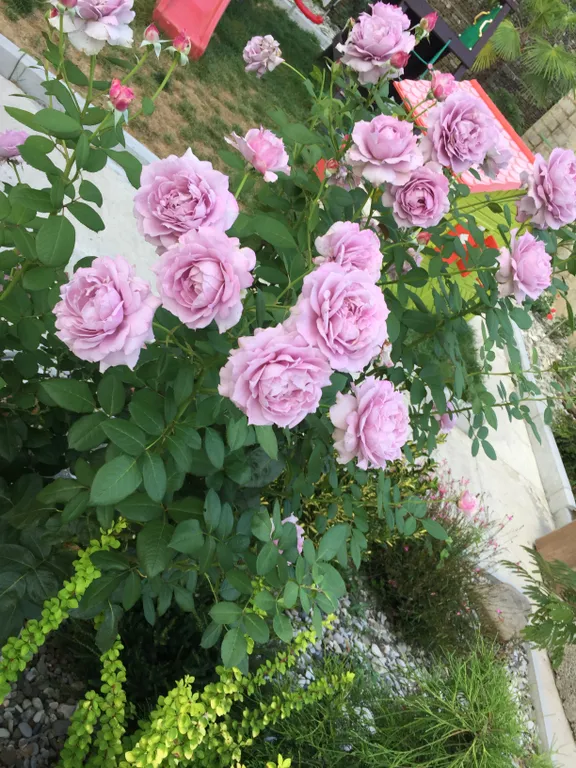 Уютный коттедж на Сочинском шоссе