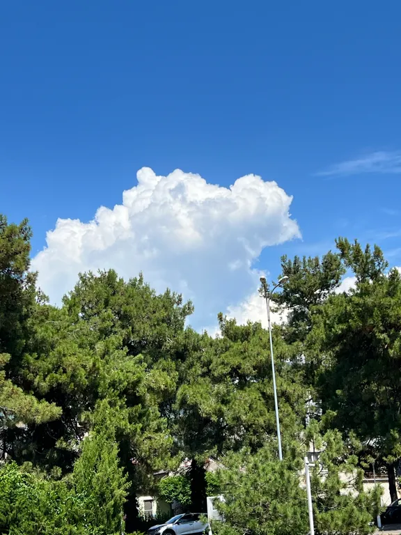 Квартира Квартира Уютный номер в частном секторе, 5 минут до моря — Геленджик