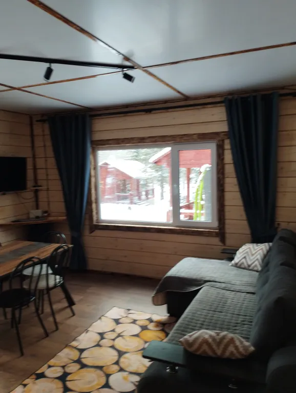 2х этажный коттедж, в зимнем лесу на берегу реки