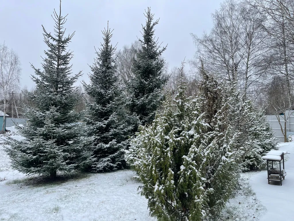 Устал? Отдохни