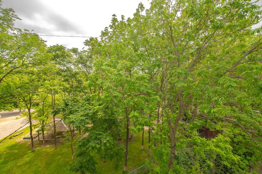 Уютная квартира на 2 речке, рядом с 1000коечной