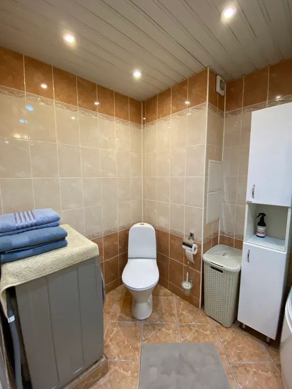 Квартира Видовая квартира с видом на Газпром Арену — Санкт-Петербург