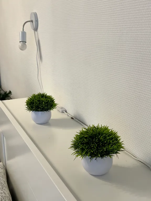 Апартаменты Мустанг