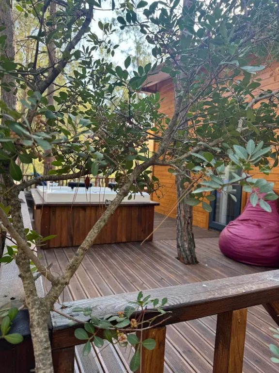 Просторное эко бунгало в сосновом лесу на побережье Турции