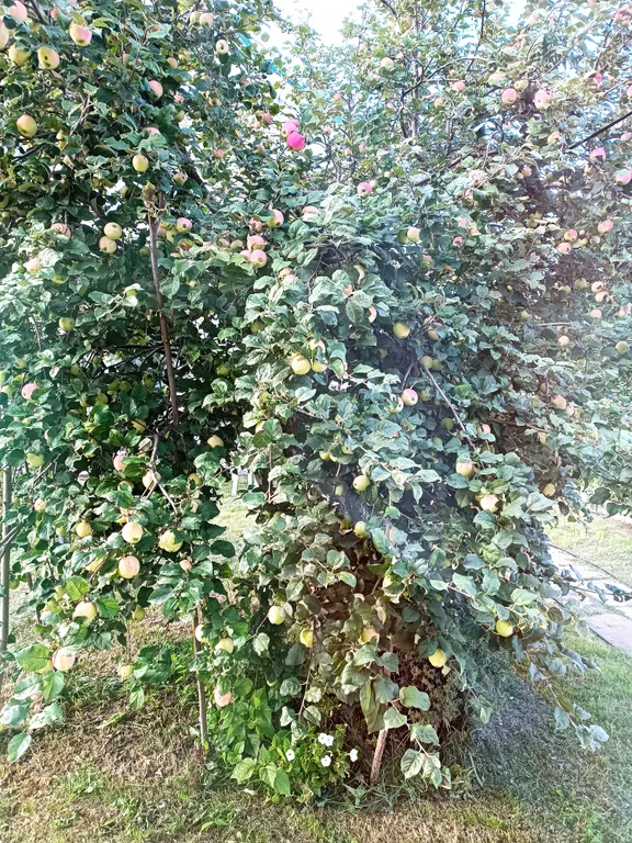 Уютный домик со всеми удобствами