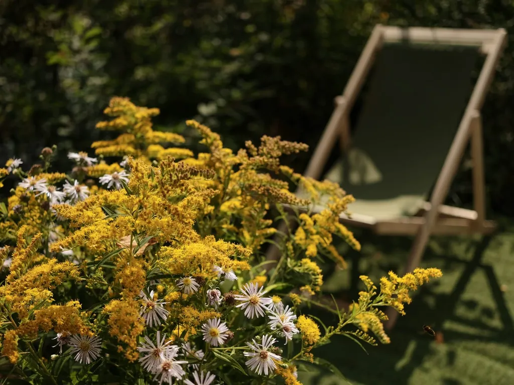 Чудо-дача, дом Капитан на берегу пруда
