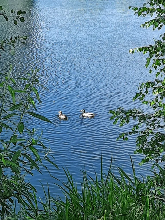 Уютная студия рядом с метро