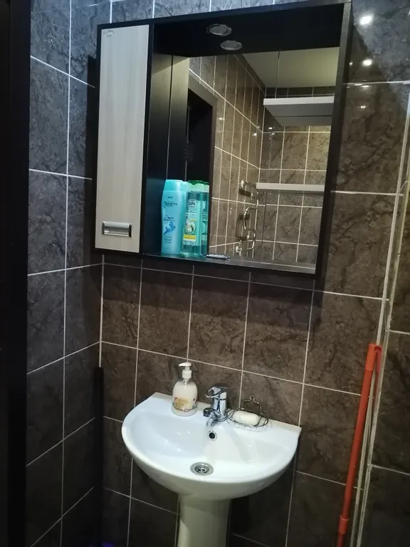 Уютная студия в Спутнике