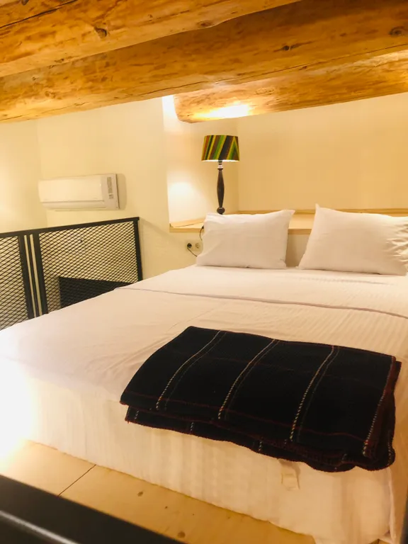 Комфорт и экзотика - квартира рядом проспект Руставели