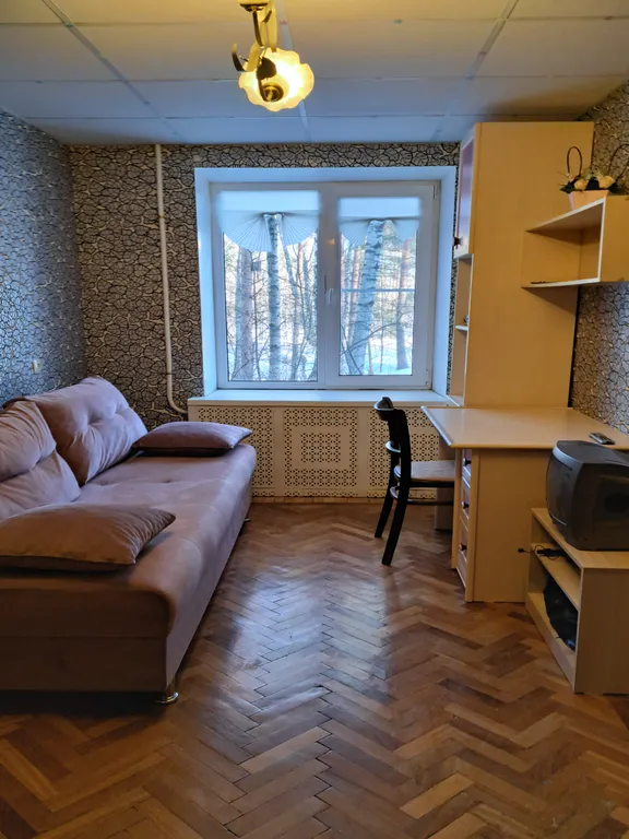 Квартира Двухкомнатная квартира рядом с институтами имени Напалкова и Гранова — Песочный