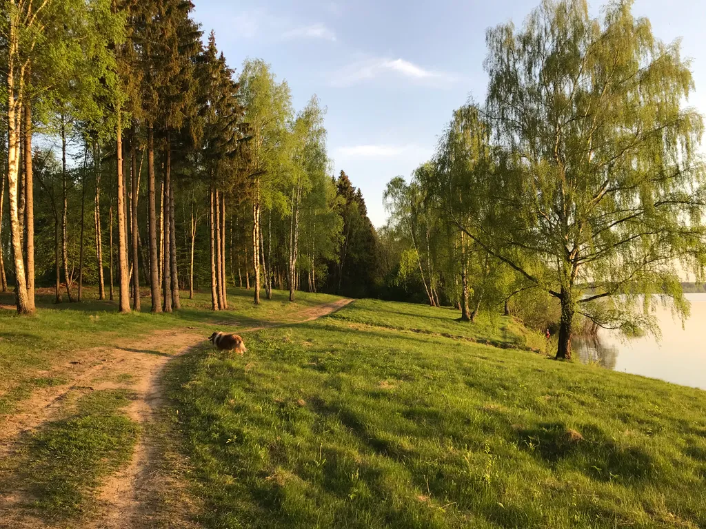 Коттедж Гостевой дом Дельфин — Можайск