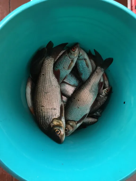 Дом на берегу озера