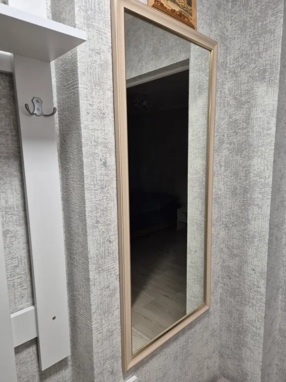 Квартира Просторная, чистая квартира рядом с ж/д вокзалом и автовокзалом — Калининград