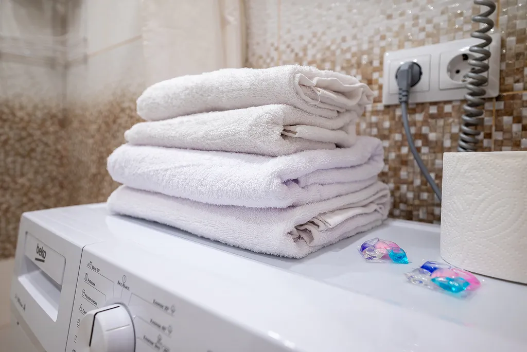 Квартира с отдельной спальней рядом с Казино и Ред Ареной 02