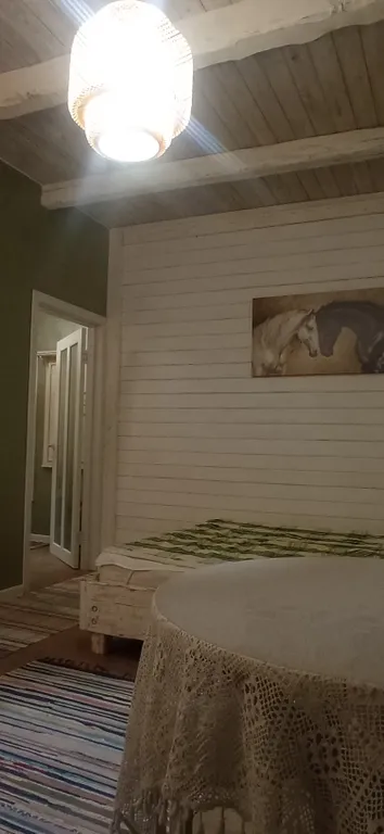 Студия Сканди Олива