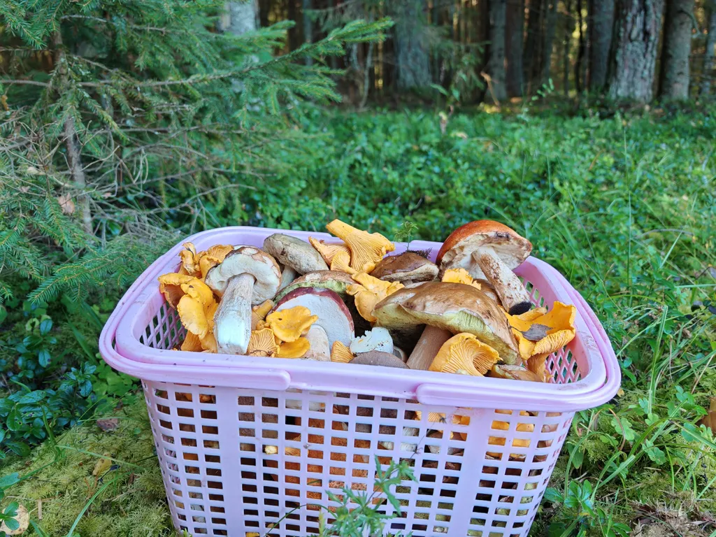 Коттедж Дом с тремя спальнями в турбазе чайка (селигер) — Турбаза Чайка