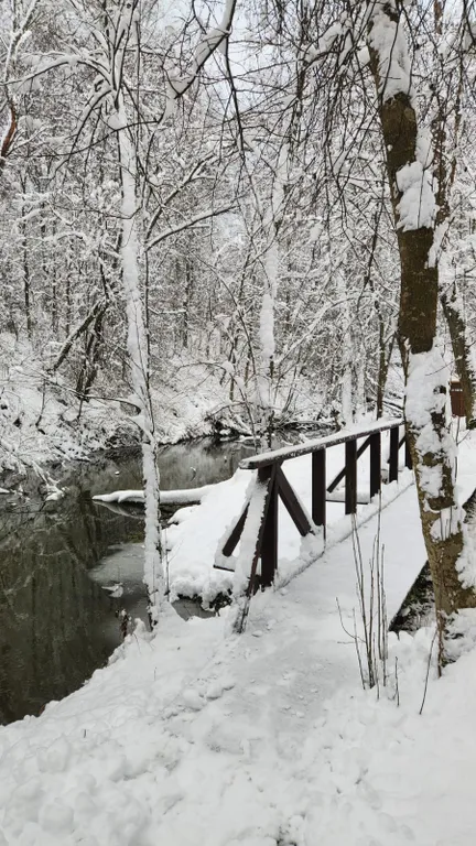 Коттедж Дом Шале — Можайск