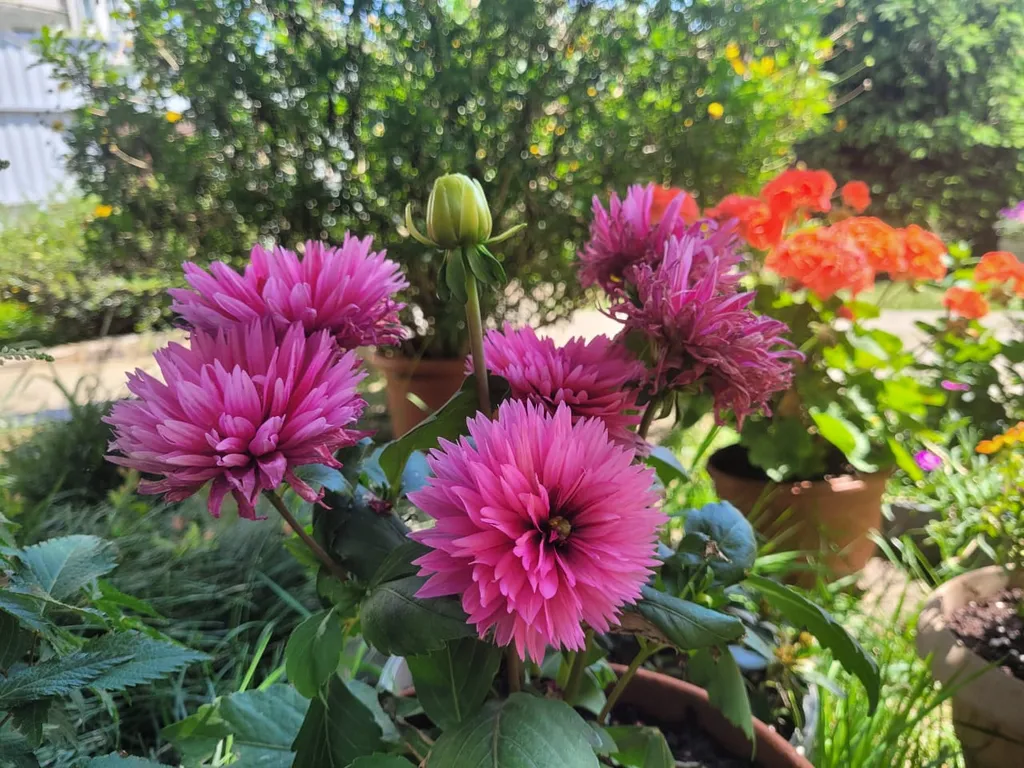 Коттедж 2-комнатный Дом — Сочи