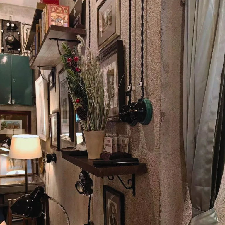 Студия Скандинавский лес с видом на Шуваловский парк