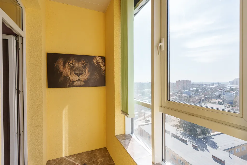 Зоопарк за окном