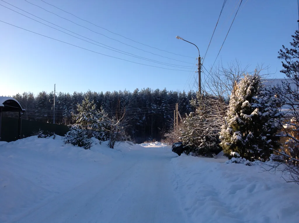 Дом у парка Берендеевка