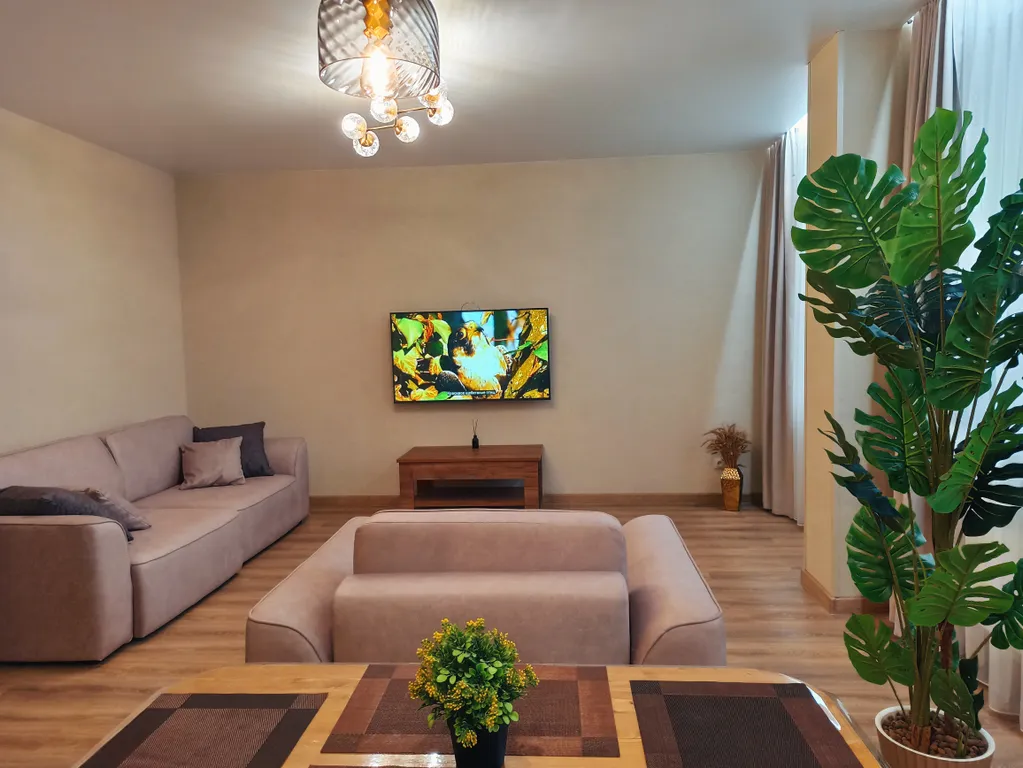 Просторные апартаменты с шикарным видом на город и парк