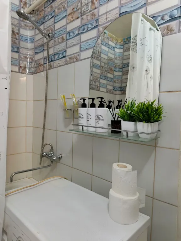 Уютная однокомнатная квартира в центре города