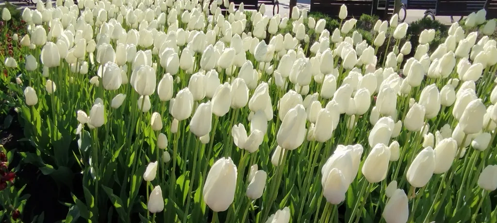 Уютная квартира в цветнике