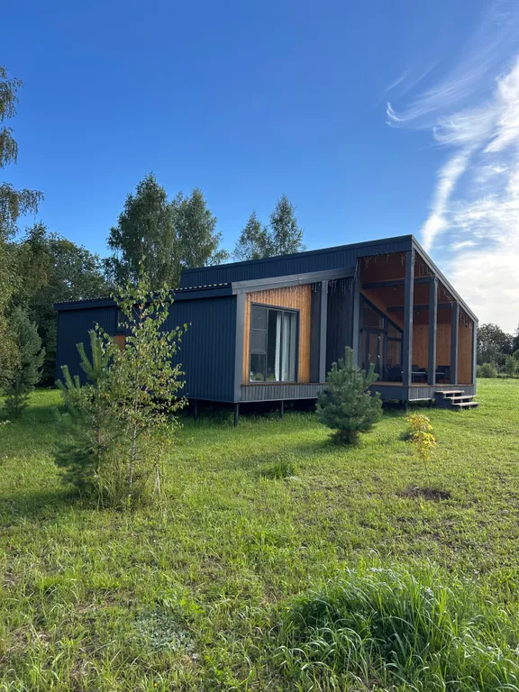 Дача у Цапли