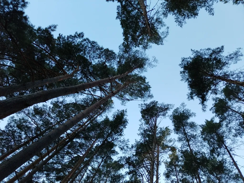 4-комнатный Дом