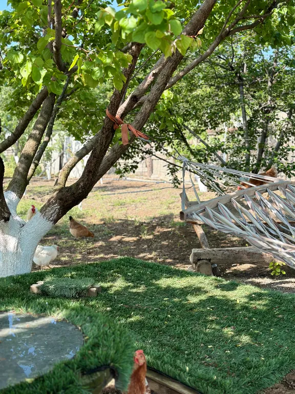 Коттедж Уютный домик с большим огородом у Сулакского каньона — Миатли