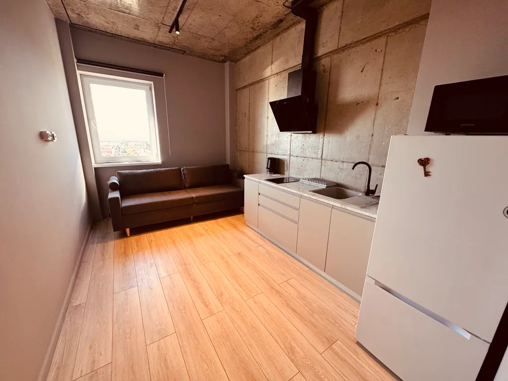 Лофт с видом на телебашню