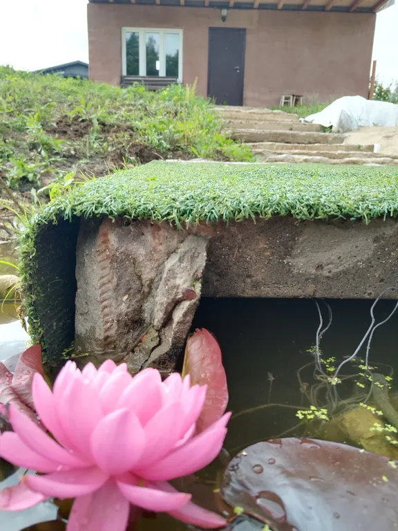 Уютный дом с русской баней на пруду у леса