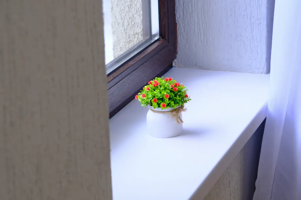 Студия рядом с Эко тропой