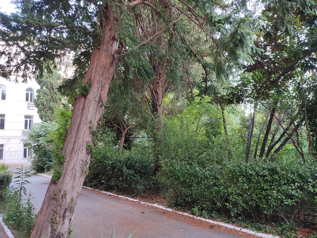 Уютная квартира в центре города с бесплатной парковкой