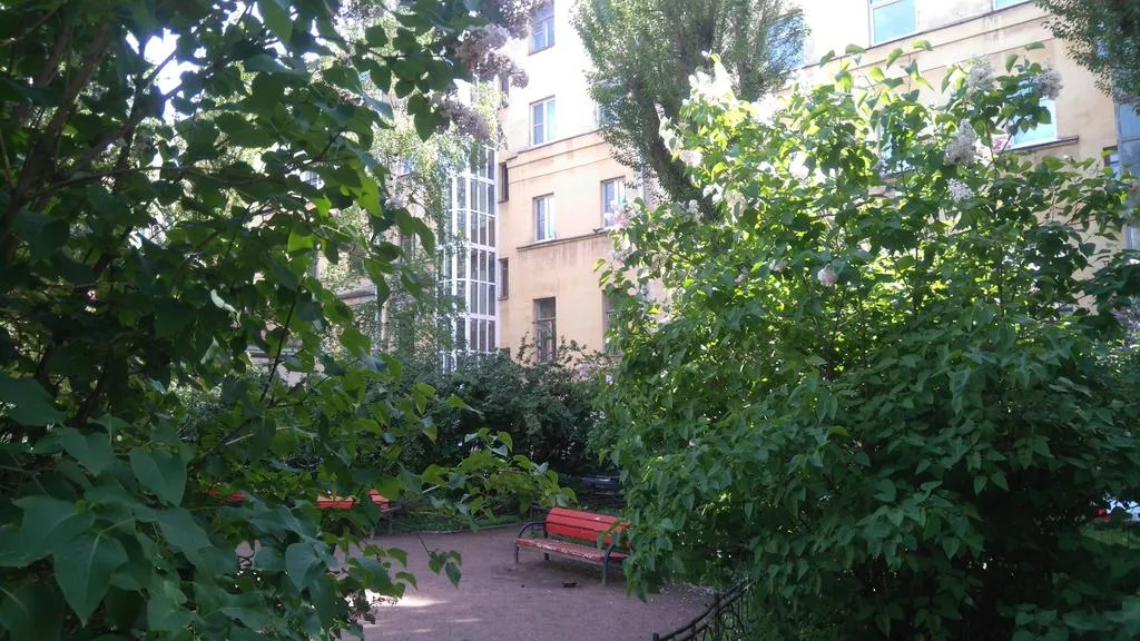 Квартира в центре у Аничкова моста