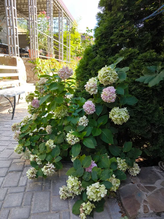 Апартаменты с видом на море и бассейн